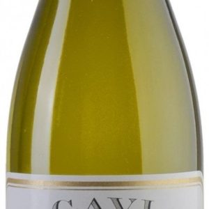 GAVI DI GAVI 2022 NICOLA BERGAGLIO