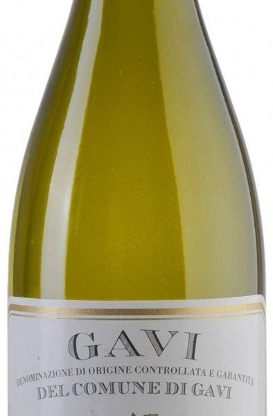 GAVI DI GAVI 2024 NICOLA BERGAGLIO