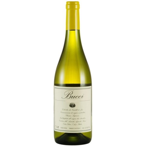 VERDICCHIO DEI CASTELLI DI JESI 2024 VILLA BUCCI