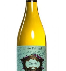 SHARIS 2022 LIVIO FELLUGA