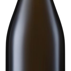 TREBBIANO D'ABRUZZO RISERVA 2021 MARINA CVETIC