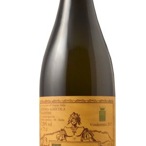 TREBBIANO D'ABRUZZO 2019 VALENTINI
