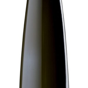 MOSCATO D'ASTI VIGNAIOLI DI SANTO STEFANO 2023 CERETTO