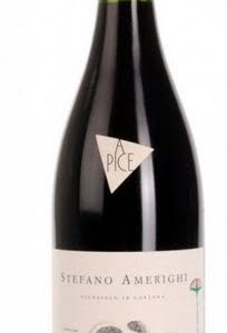 APICE 2019 STEFANO AMERIGHI