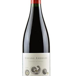 SYRAH 2020 STEFANO AMERIGHI