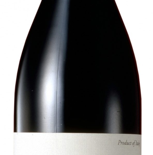 BARBERA BRICCO DELL'UCCELLONE 2019 BRAIDA