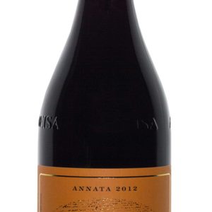 BAROLO BRICCO DELLE VIOLE 2019 M.MARENGO