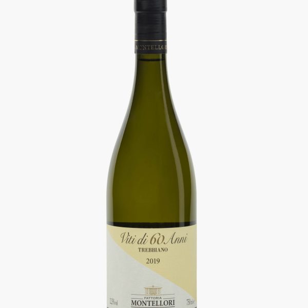 TREBBIANO VITI DI 60 ANNI - MONTELLORI 2024