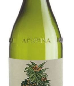 MOSCATO D'ASTI 2023 CASCINA DEL SANTUARIO BRUNO SORIA
