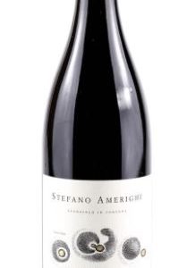 Cortona Syrah DOC 2020 - Stefano Amerighi