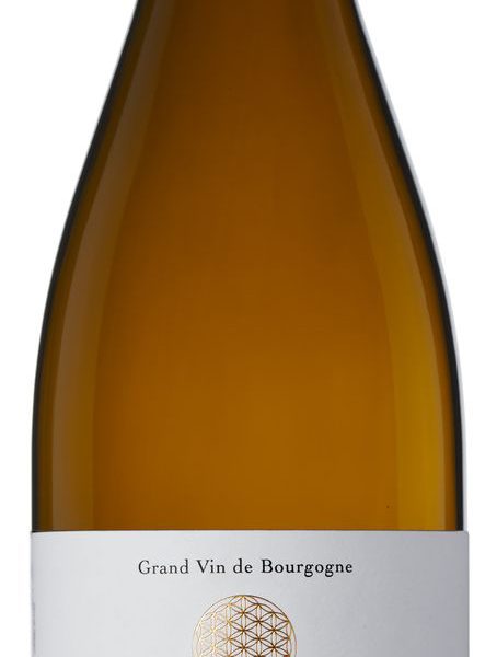 Puligny Montachet Les Ensignerese 2023Florence Cholet