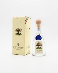 DISTILLATO DI PRUGNE SELVATICHE-CAPOVILLA