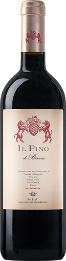 PINO DI BISERNO 2019 CAMPO DI SASSO