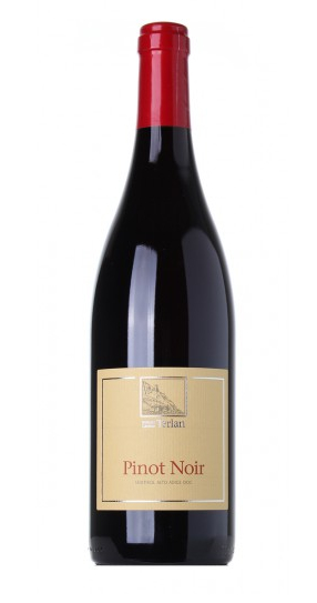 PINOT NERO 2022 CANTINA TERLANO